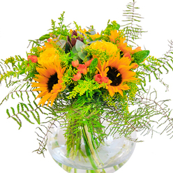 Overflowing with sunbeams and the bucolic charm of Cowley, this floral arrangement captures the exuberance of late summer. At its core, towering sunflowers blaze with deep brown centers and golden petals that exude energy and optimism. Nestled beside them, tightly furled yellow garden roses unfurl their intricate spirals, radiating classic beauty and softness. Glossy red hypericum berries are threaded throughout, their jewel tones sparkling against a backdrop of mixed greens-lush fern fronds, fine light-green fillers, and upright flower spikes, all reminiscent of the diverse foliage in Cowley's local gardens. Hints of cool blue-green eucalyptus break up the palette, providing visual relief and accentuating the rustic quality of the design. Positioned perfectly in a rounded glass vase, their stems are visible beneath the surface, contributing to the composition's clarity and architectural poise. Gentle sunlight bathes the display, highlighting the vivid colors and creating a welcoming, uplifting mood. The blend of delicate rose scent and crisp, fresh greenery lingers in the air, making this arrangement a fitting centerpiece for celebrations-birthdays, housewarmings, or simply to bring a ray of Cowley sunshine indoors. Lovingly arranged, it speaks to the neighborhood's spirit of community, artistry, and the enduring joy found in flowers.